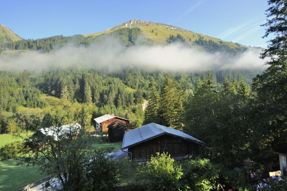 Haus Alpina Appartement Häselgehr Buitenkant foto